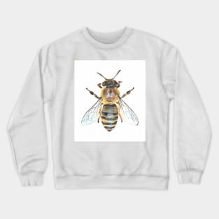 Honey Bee Crewneck Sweatshirt